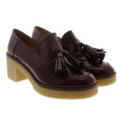 Zapato Abotinado Piel Borlas Hobby 453